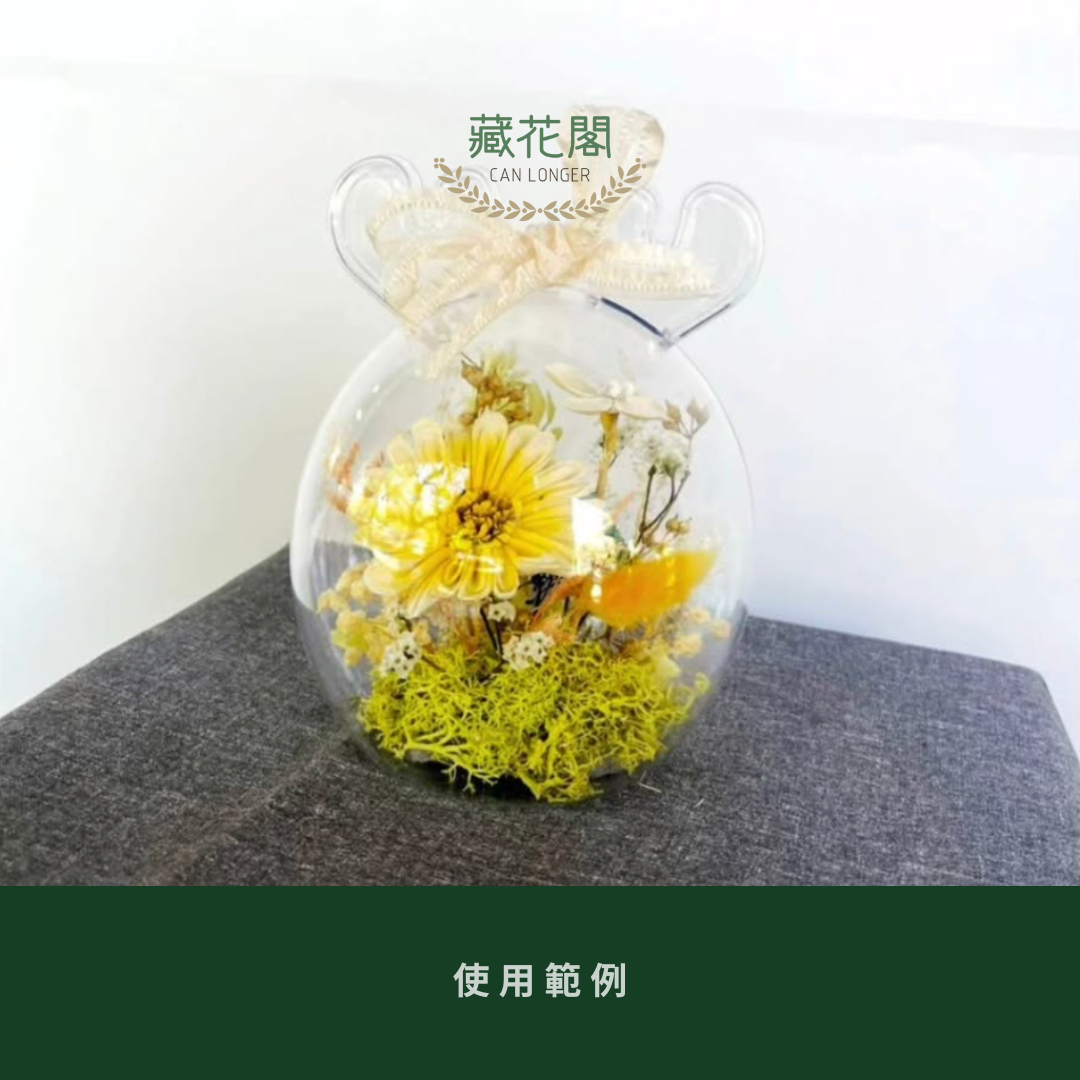 EM035A 小鹿壓克力罩｜單個5個 造型殼 壓克力罩盅 壓克力球 壓克力波波球 透明球 空心球 塑膠球 乾燥花 永生花