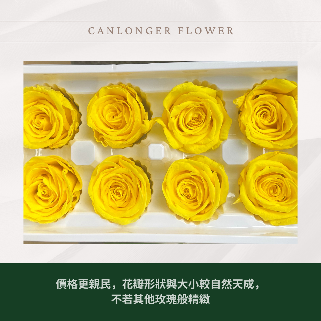 R08B B級八輪永生玫瑰盒裝 5cm玫瑰 永生花 不凋花 台灣現貨