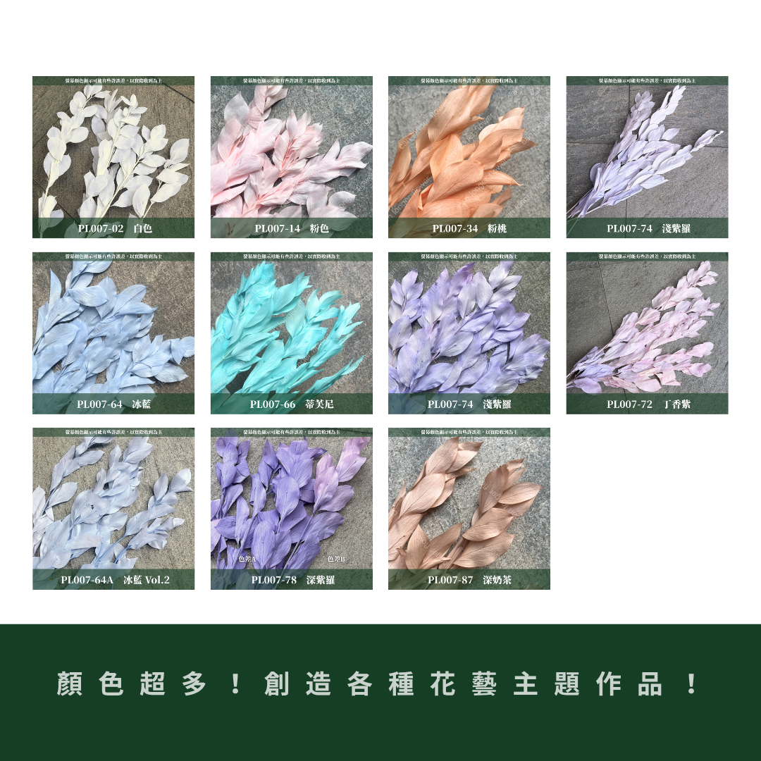 PL007 原裝玉竹葉｜夢幻紫色新登場｜進口不凋玉竹葉 永生桔葉 永生葉材 魚尾葉 桌花 乾燥葉材 花藝材料包 捧花