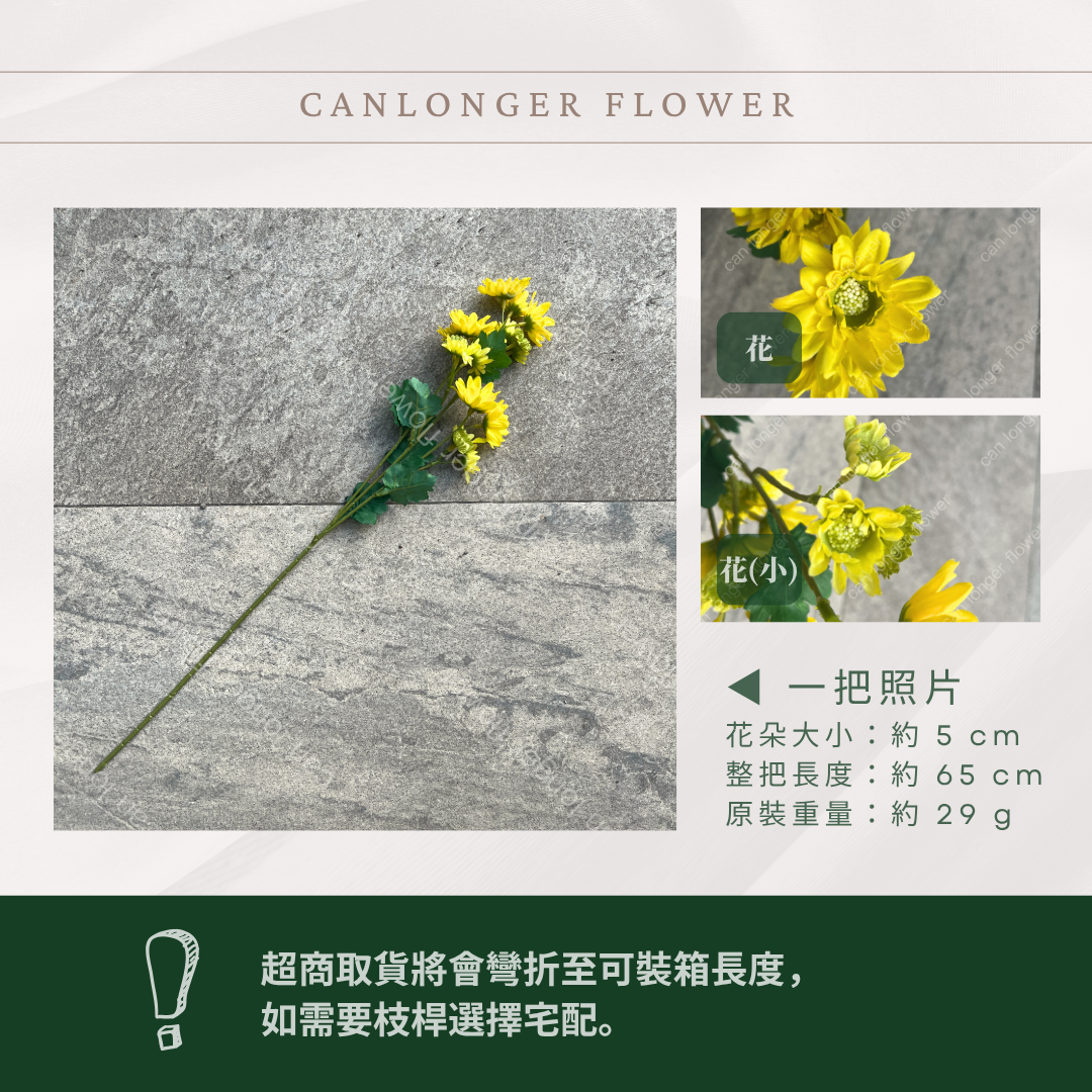 AF060 仿真多頭雛菊（約18頭）