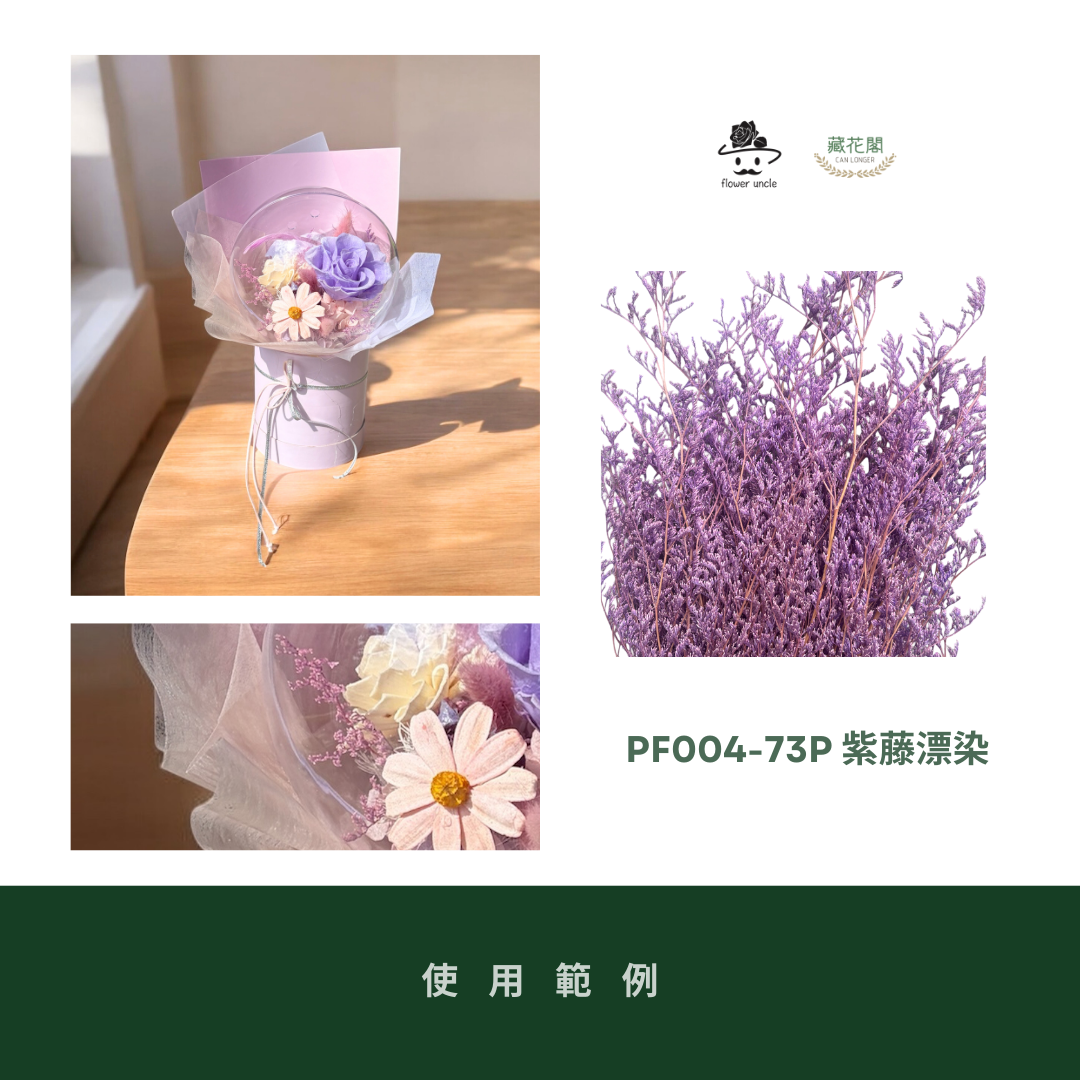 PF004 原裝卡斯比亞｜買五送一！花藝師必買 情人花 永生卡斯比雅 永生花手作DIY 不凋花材 韓式乾燥花材配花 婚禮