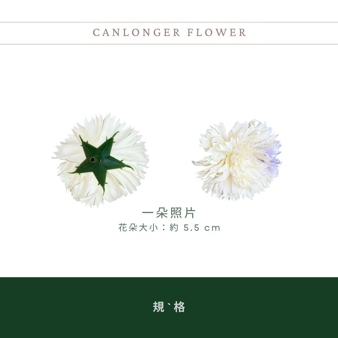 AS002A 漸層康乃馨香皂花花頭｜韓式康乃馨香皂花 花束DIY 母親節禮物 仿真肥皂花 康乃馨花頭 仿真花 肥皂花