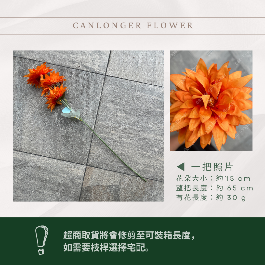 AF021 仿真火焰菊(3頭) 仿真花