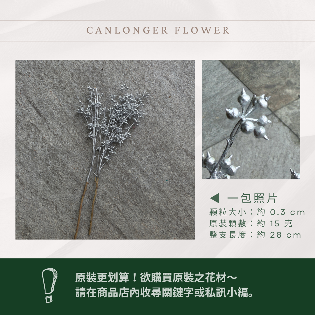 PS001s DS001s 小米果經濟包｜小米尤加利 尤加利果 桉樹果 永生花 乾燥花 居家裝飾花材 手作花材 花藝設計