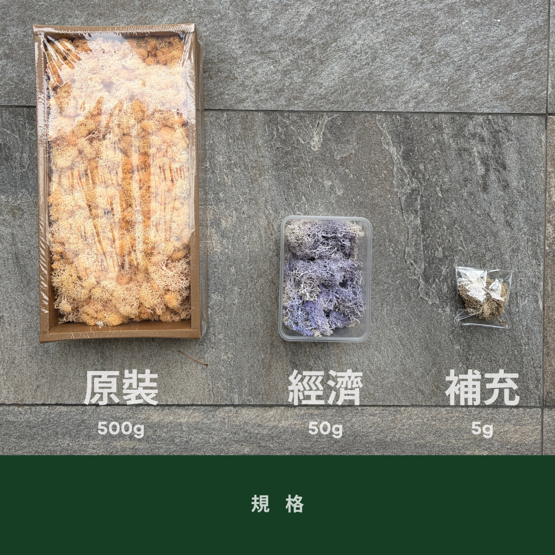 PF018S 永生馴鹿苔經濟包｜特級永生水草 微景觀水苔 苔蘚造景 乾燥花 不凋花 永生花藝材料 撲底用草 假草皮