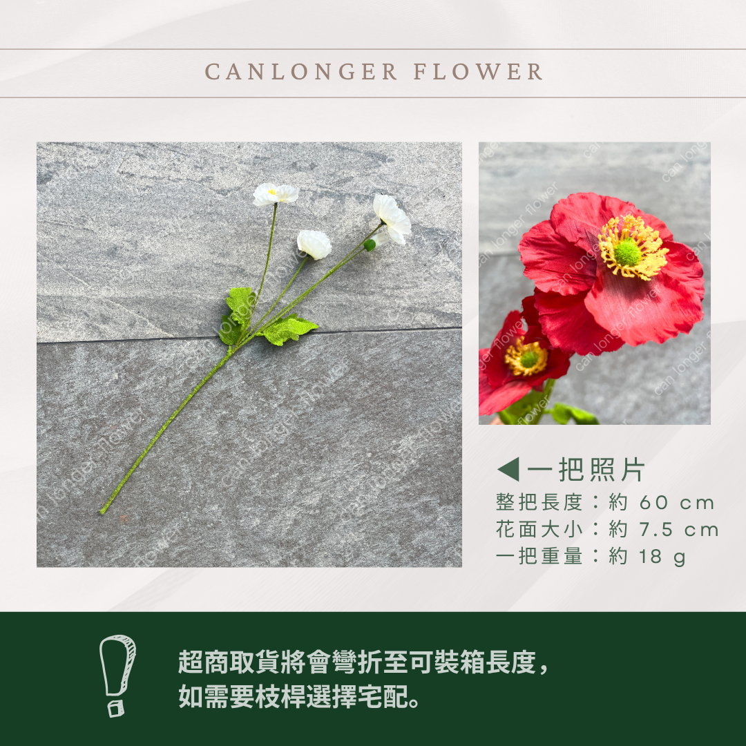 AF068 仿真虞美人(3頭)