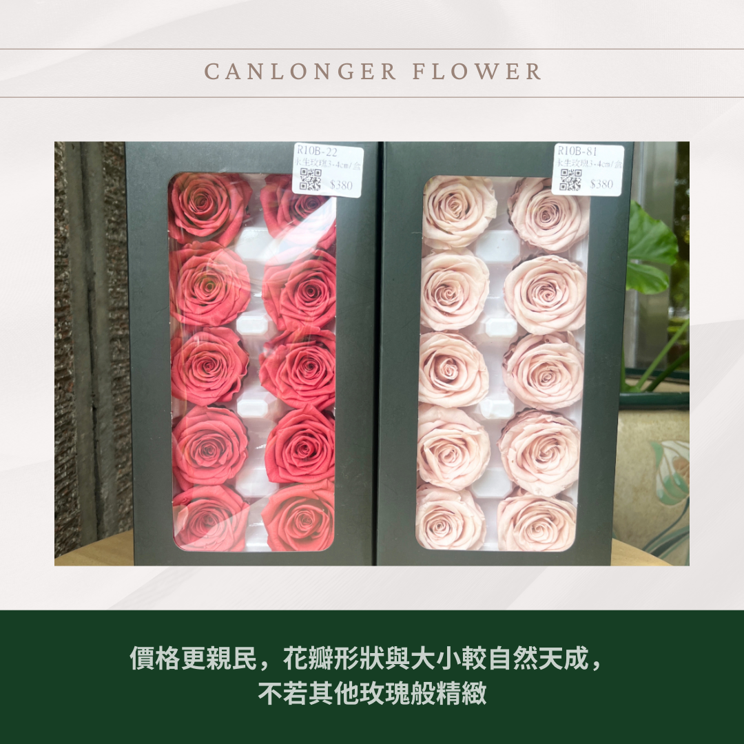 R10Bs B級永生玫瑰 單朵 4cm玫瑰 永生花 不凋花 台灣現貨