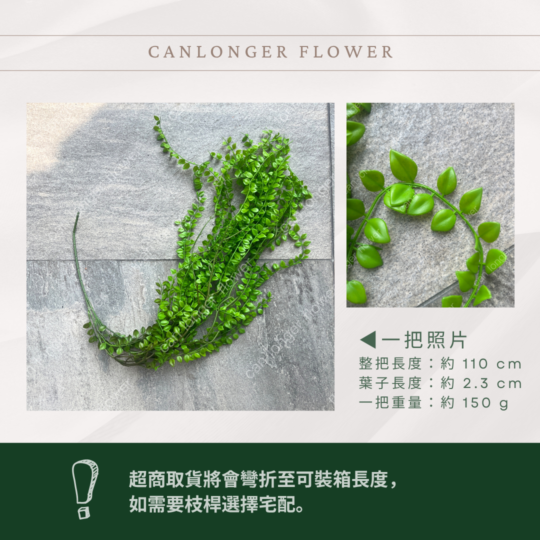 AF065 仿真垂吊大海藻葉 藤蔓裝飾 台灣現貨
