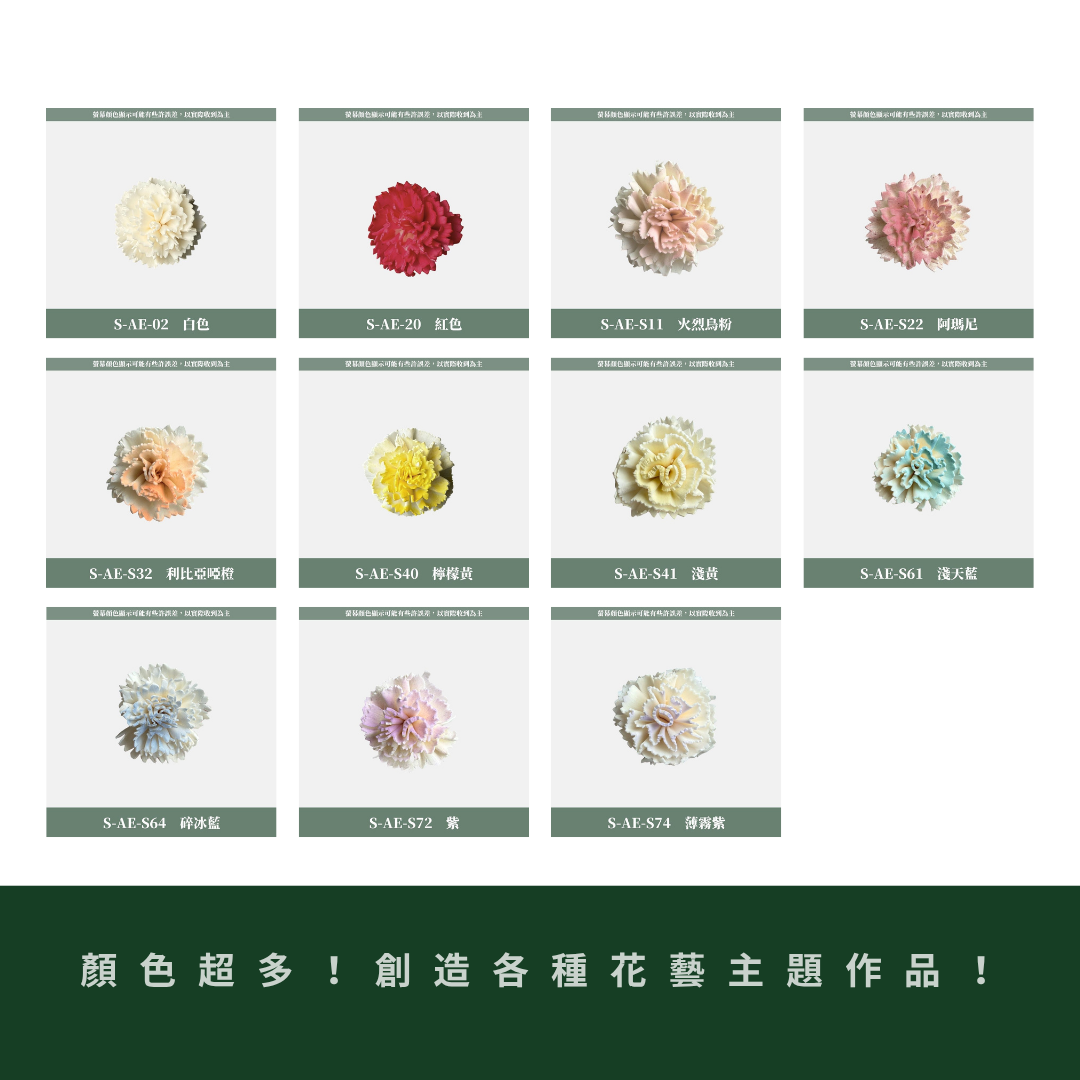 S-AE 4CM康乃馨索拉花花頭｜乾燥花 母親節擴香花 康乃馨花束 母親節花禮 DIY手作 乾燥花花束花禮 乾燥通草花頭