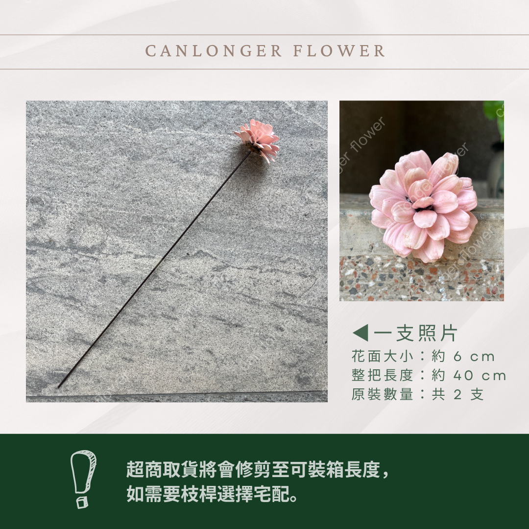 SH53 原裝瓜子球 （2支裝） 台灣現貨