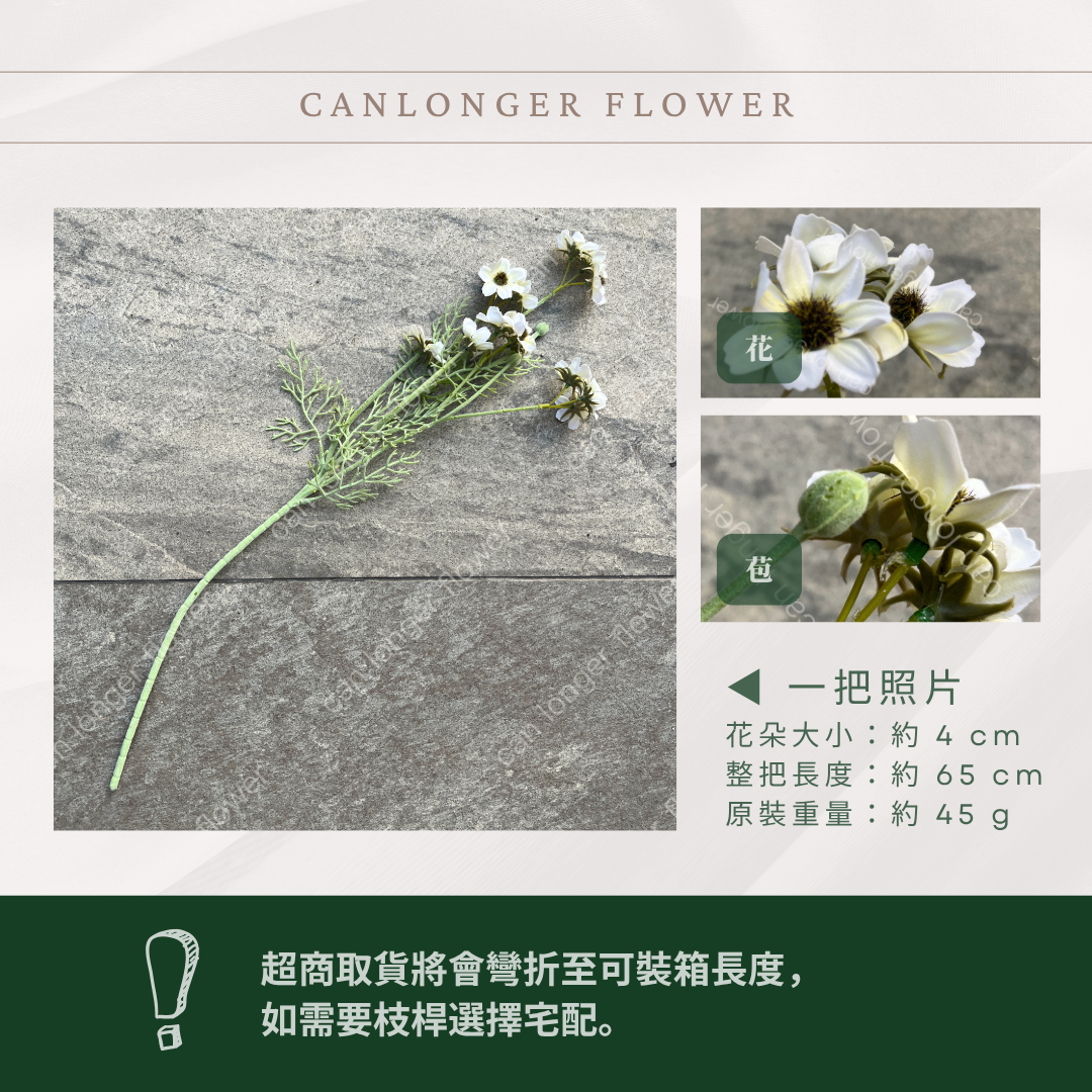 AF064 仿真多頭小野菊