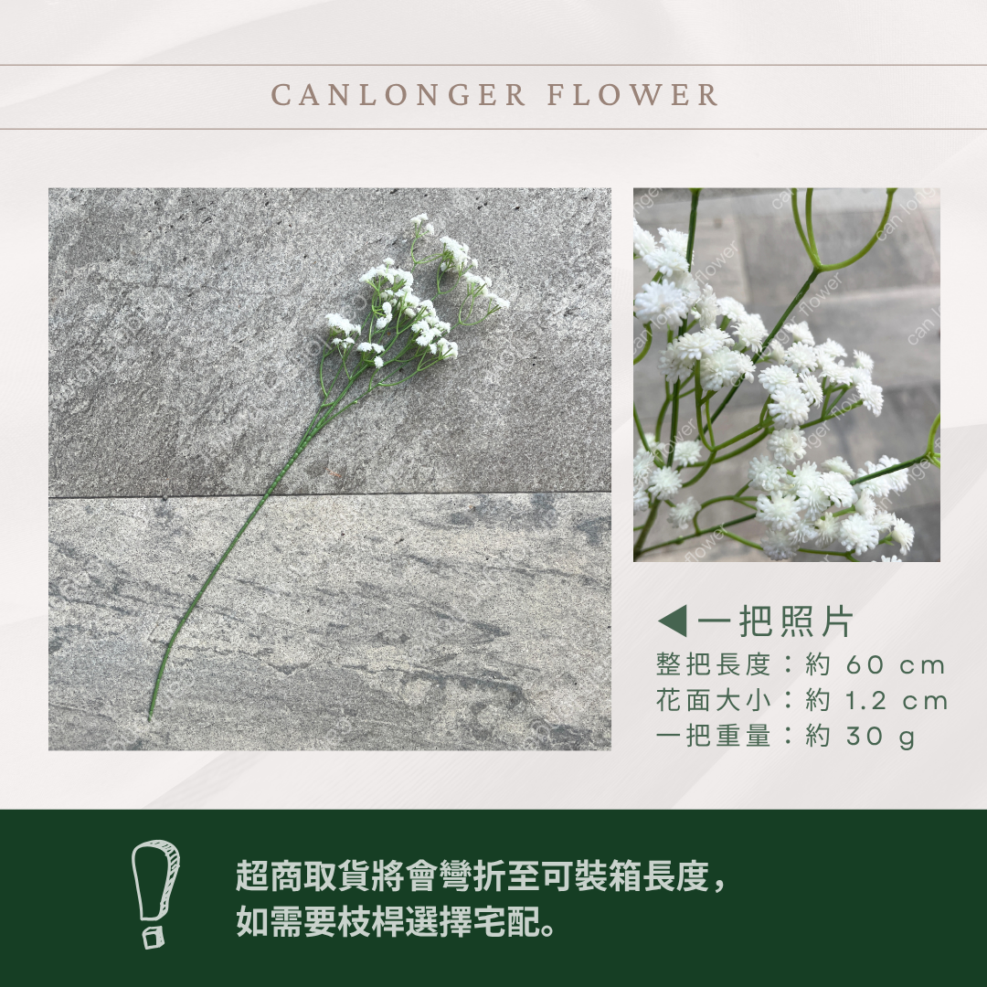AF062 仿真滿天星 108頭