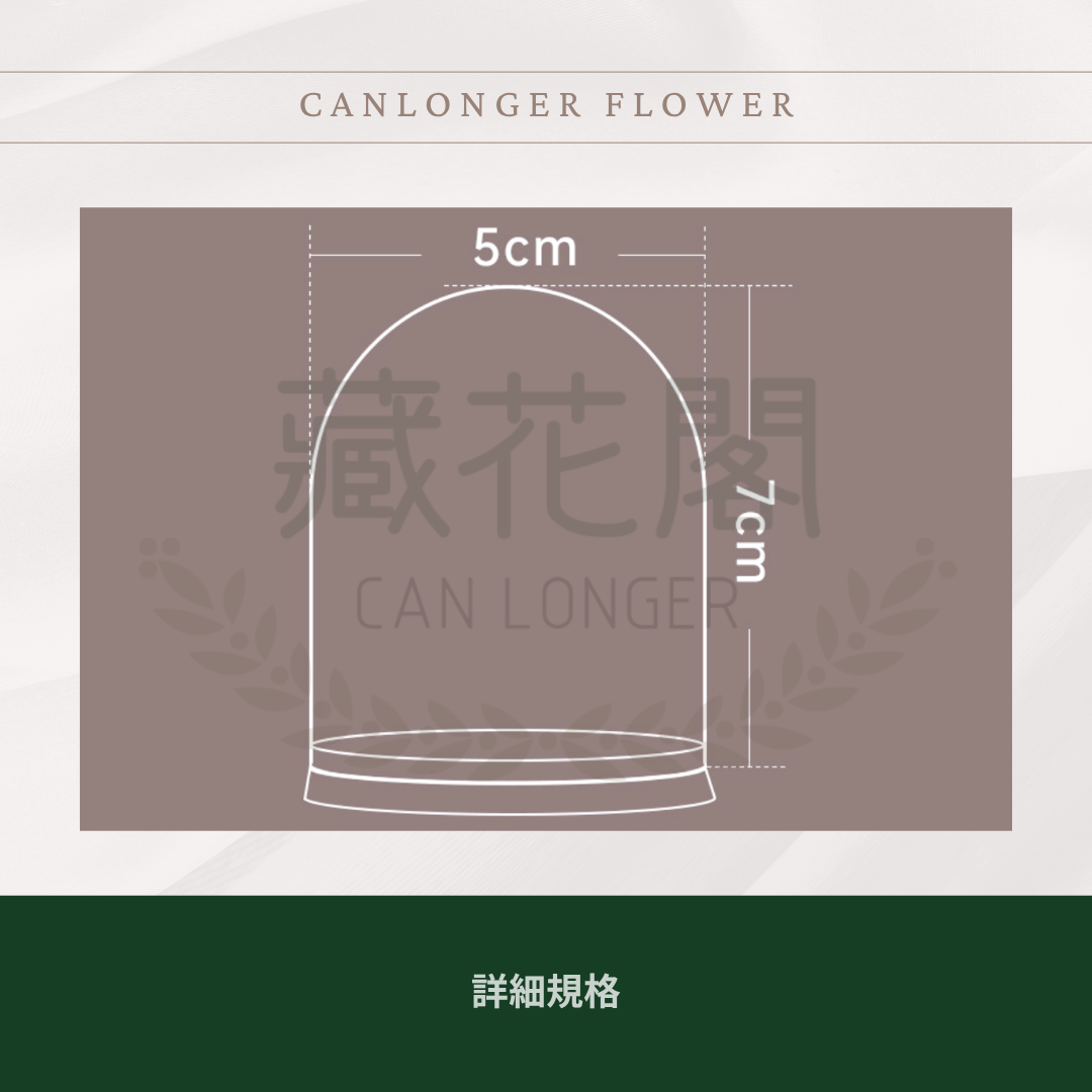 ✿ 台灣現貨 ✿  CG005 軟木塞罩盅 多款可選