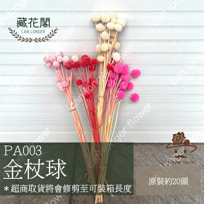 ✿ 台灣現貨 ✿ PA003-S 金杖球 5支
