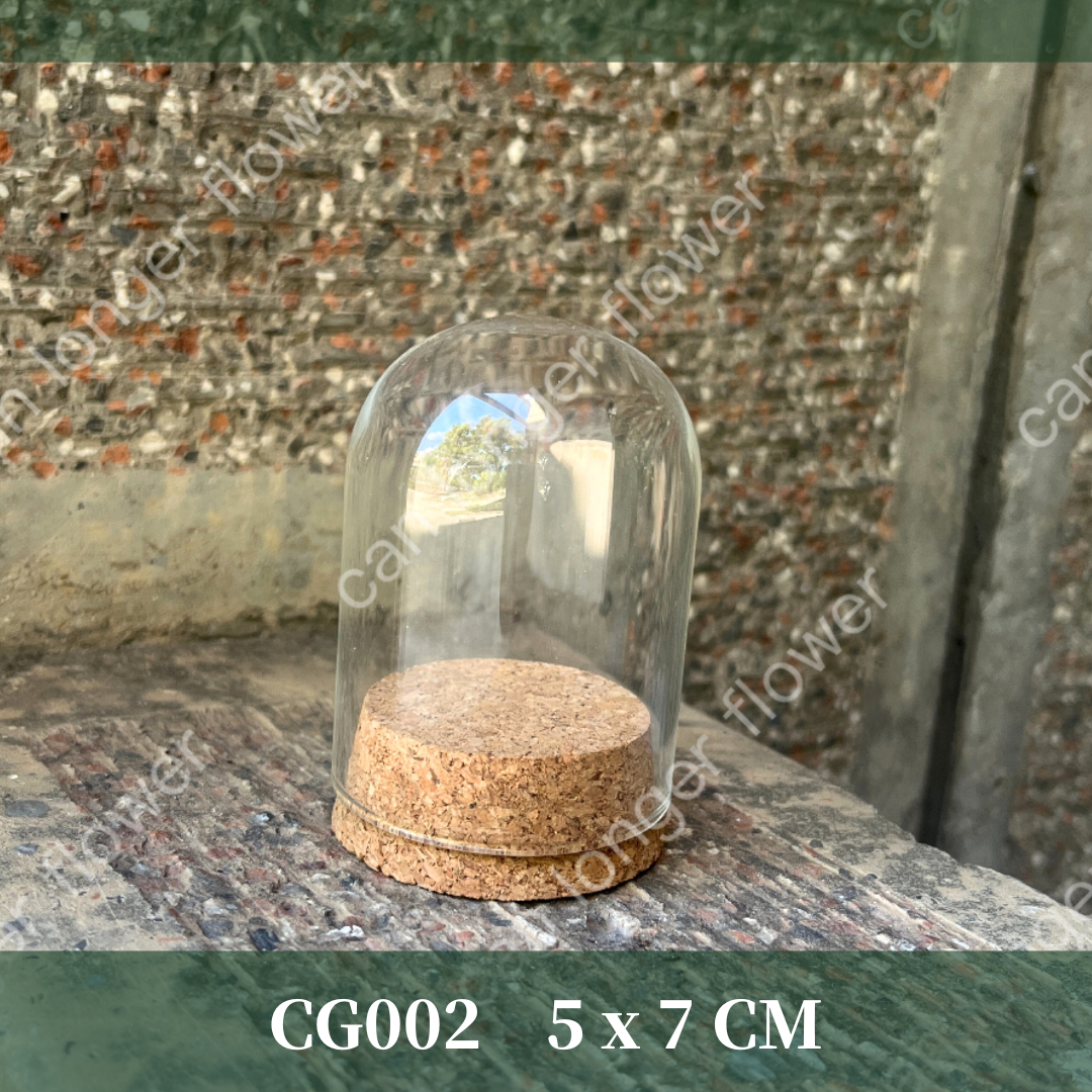 ✿ 台灣現貨 ✿  CG005 軟木塞罩盅 多款可選
