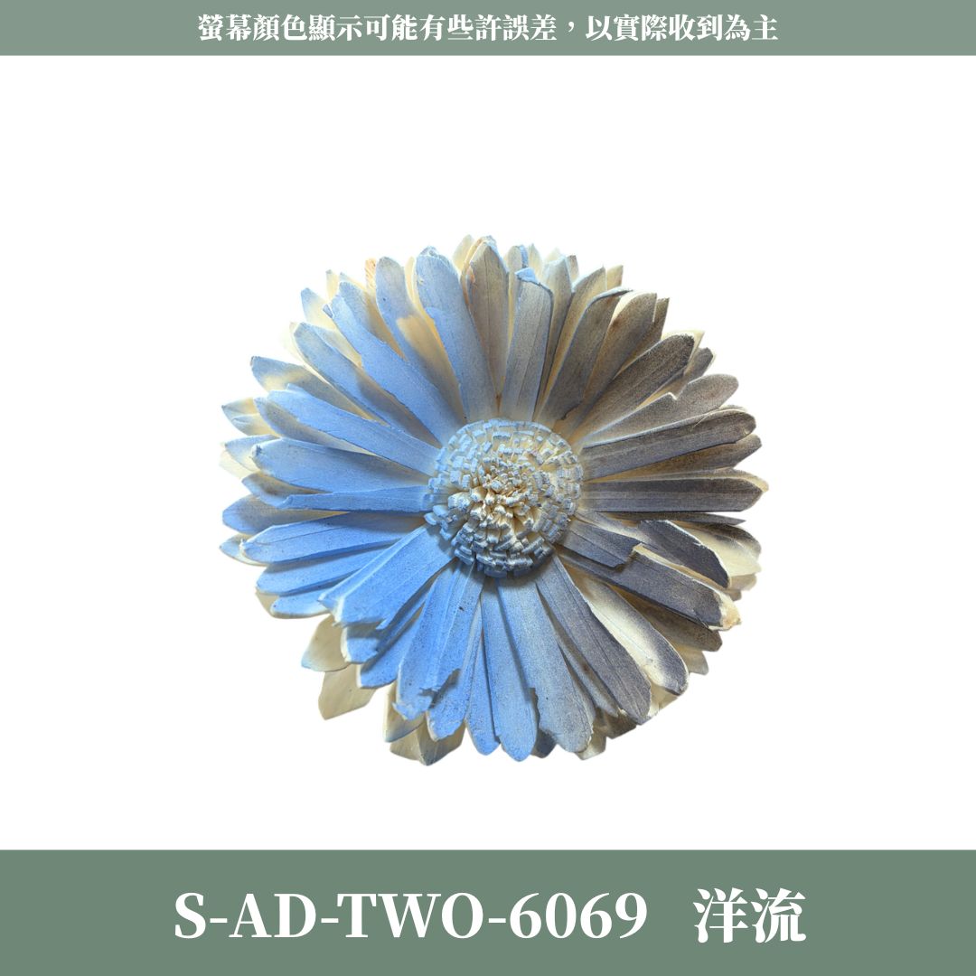 關店賠本出清｜S-AD-TWO 原裝雙色噴染太陽索拉花花頭｜限量款｜乾燥太陽花 索拉花 樹皮花 通草花 畢業乾燥向日葵