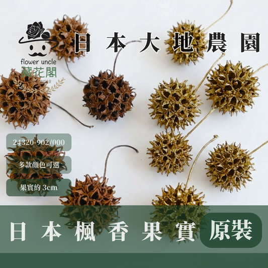 24320 原裝日本楓香果實|日本大地農園 天然楓香果實 進口乾燥果實 花圈素材 秋冬手作 聖誕裝飾