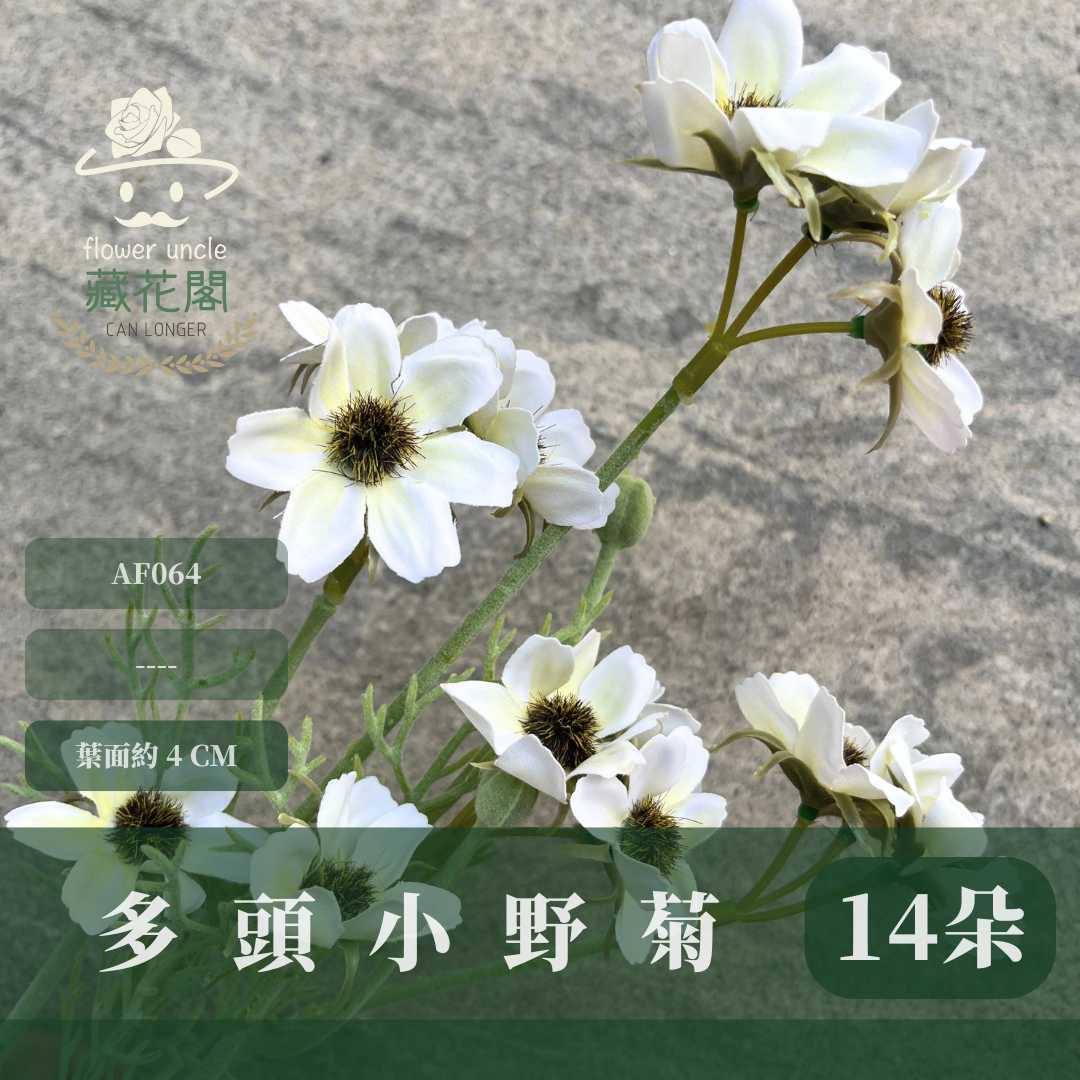 AF064 仿真多頭小野菊
