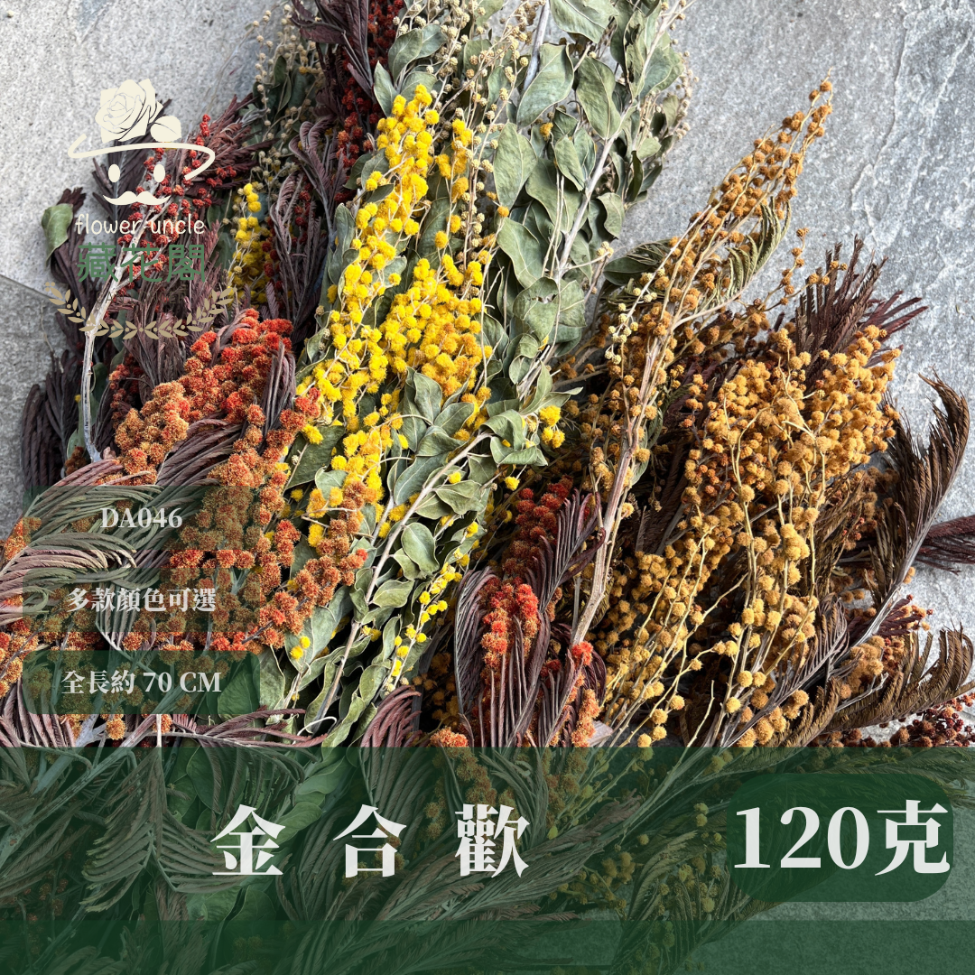 DA046 原裝乾燥金合歡｜台灣現貨