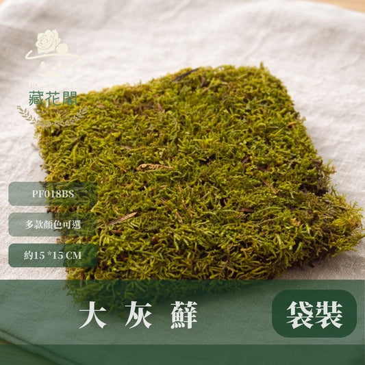 PF018BS 永生大灰蘚經濟包｜苔蘚生態造景DIY 鋪面造景模型草地 半水景生態缸 青苔生態瓶造景 微景觀 永生花草地