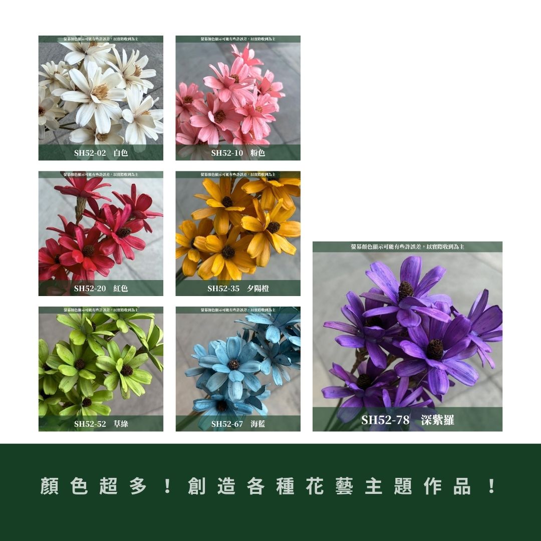 SH52 原裝小雛菊瓜子花｜5cm｜木片花 手工花 乾燥花 乾花新瓜子花 不凋花 永生花 花束花材 捧花材料 胸花手作