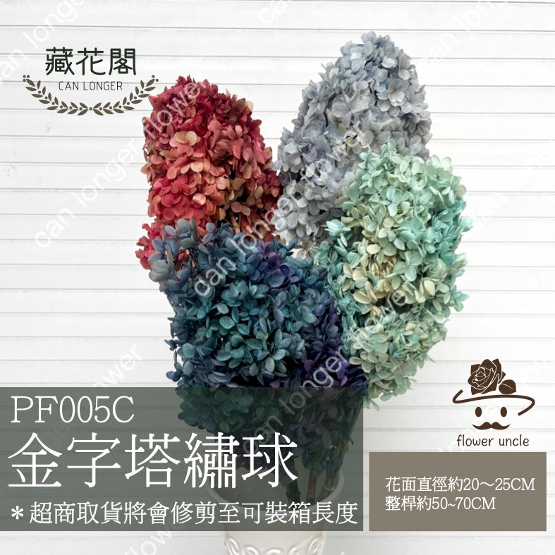 ✿ 台灣現貨 ✿ PF005C金字塔繡球 單隻 塔繡球 木繡球 永生 漸變 原裝