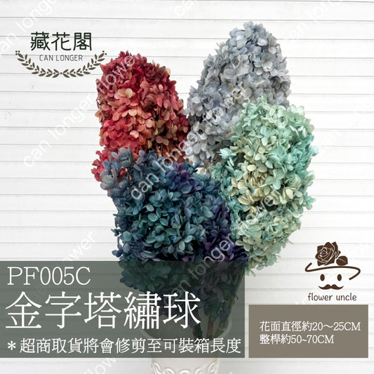 ✿ 台灣現貨 ✿ PF005C-M 金字塔繡球 盒裝 塔繡球 木繡球 永生 漸變 小份量