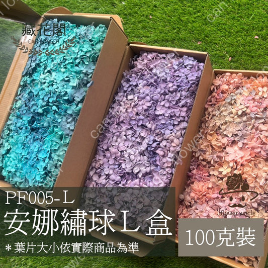 ✿ 台灣現貨 ✿ pf005L安娜繡球 (約100克) 盒裝紫陽花 夢幻漸變繡球 永生花 小份量 DIY花材 花藝