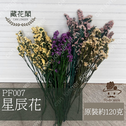 ✿ 台灣現貨 ✿ PF007 星辰花
