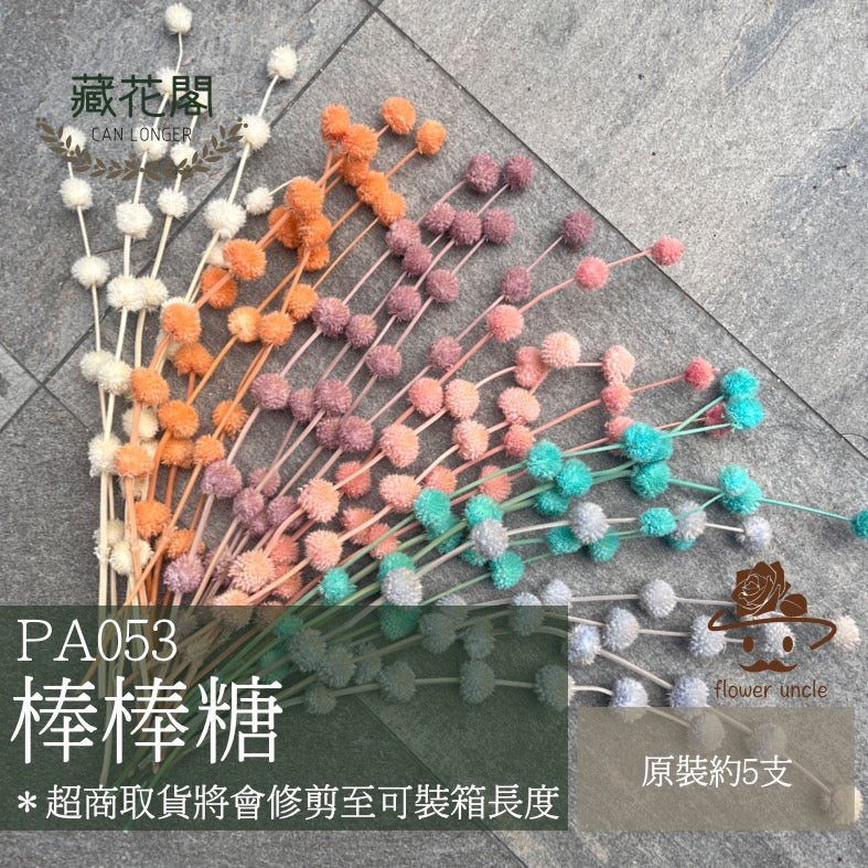 ✿ 台灣現貨 ✿ PA053 棒棒糖