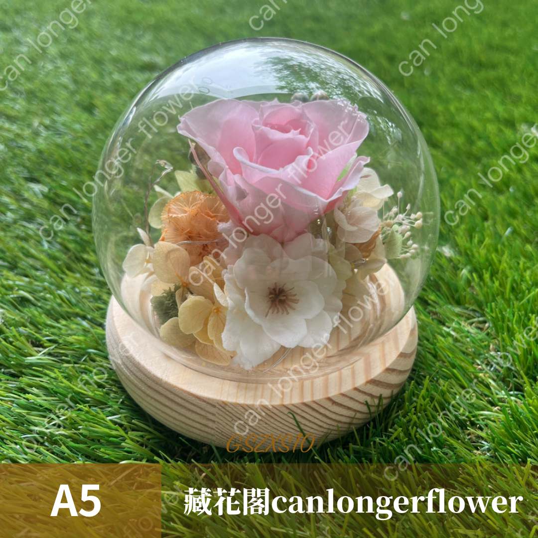 GSZXS10 粉色系永生玫瑰罩盅XS(帶燈)