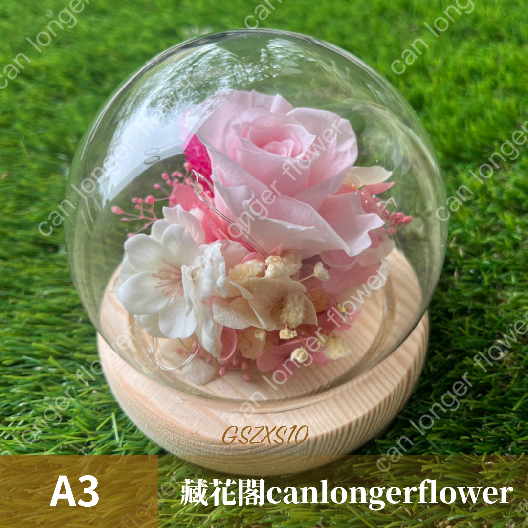 GSZXS10 粉色系永生玫瑰罩盅XS(帶燈)