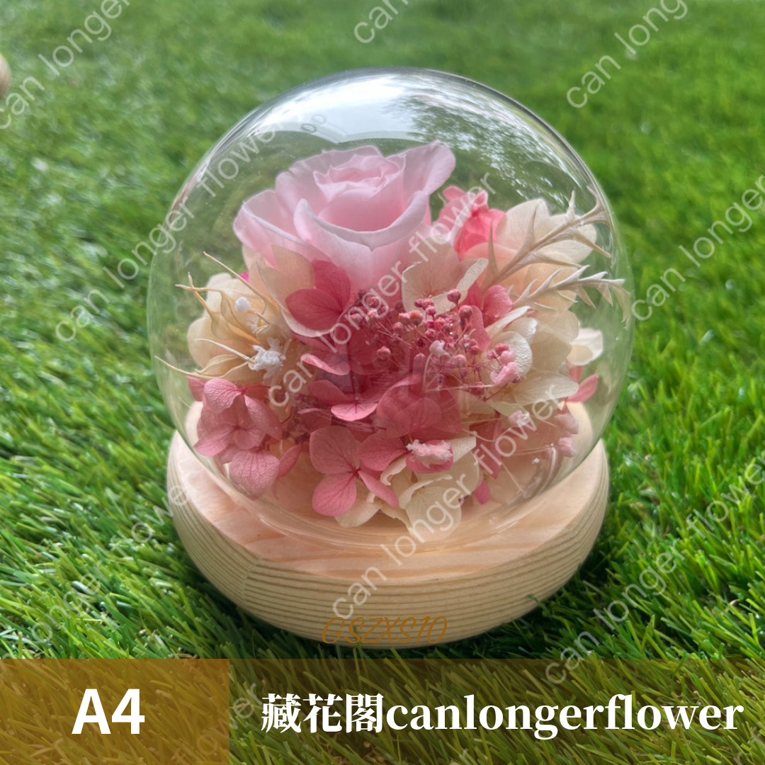 GSZXS10 粉色系永生玫瑰罩盅XS(帶燈)