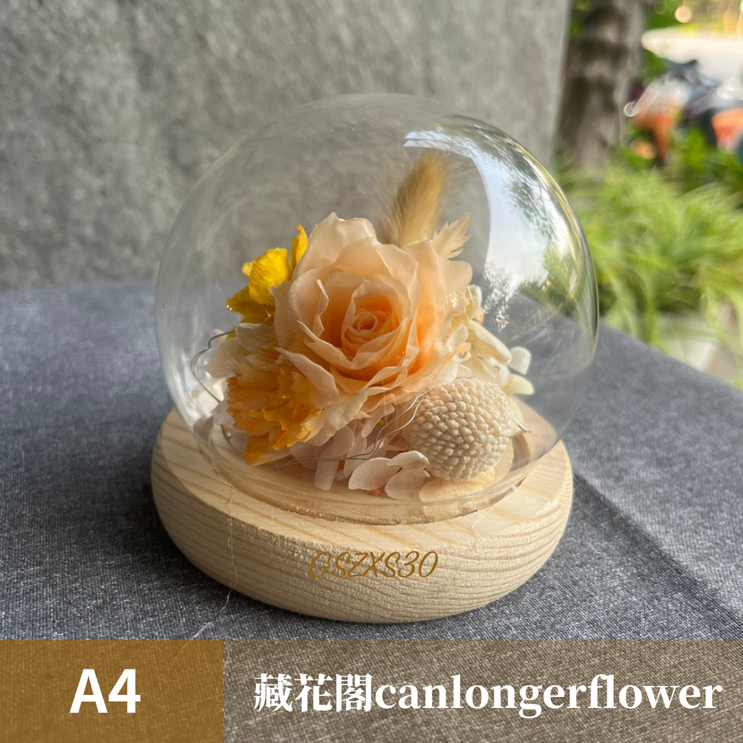 GSZXS30 橘色系永生玫瑰罩盅XS(帶燈)