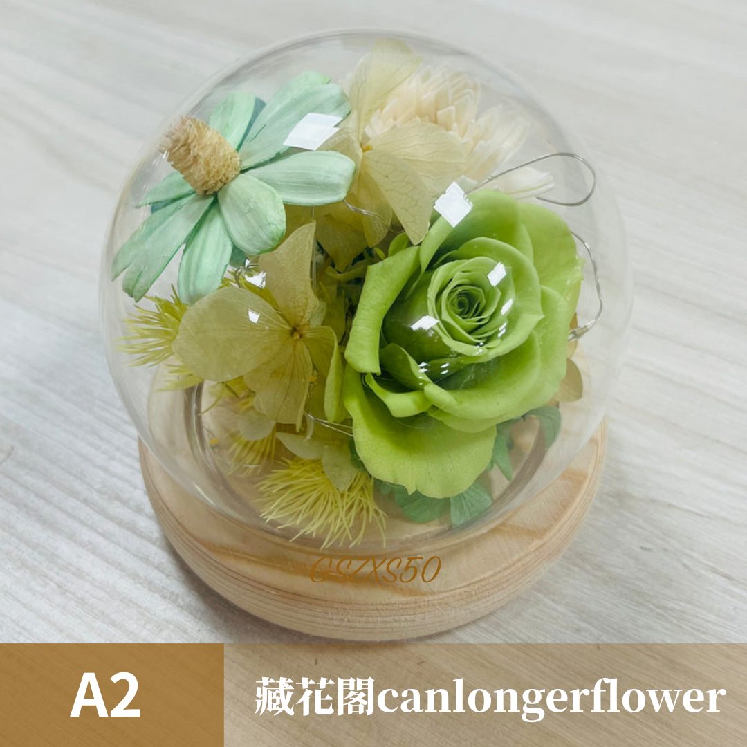 GSZXS50 綠色系永生玫瑰罩盅XS(帶燈)