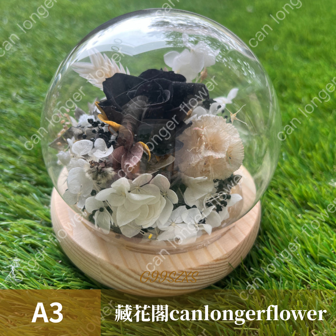 GSZXS99 黑色系永生玫瑰罩盅XS(帶燈)