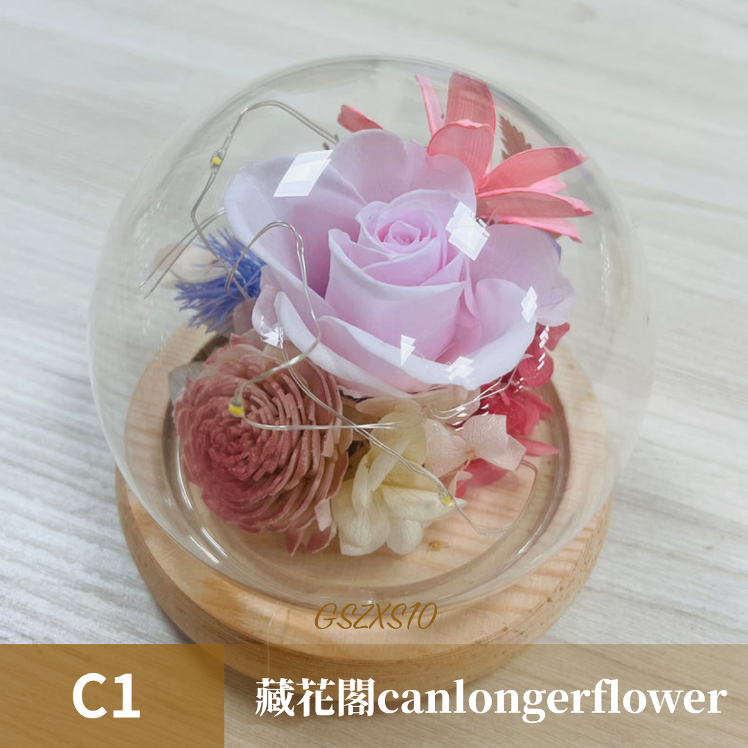 GSZXS10 粉色系永生玫瑰罩盅XS(帶燈)