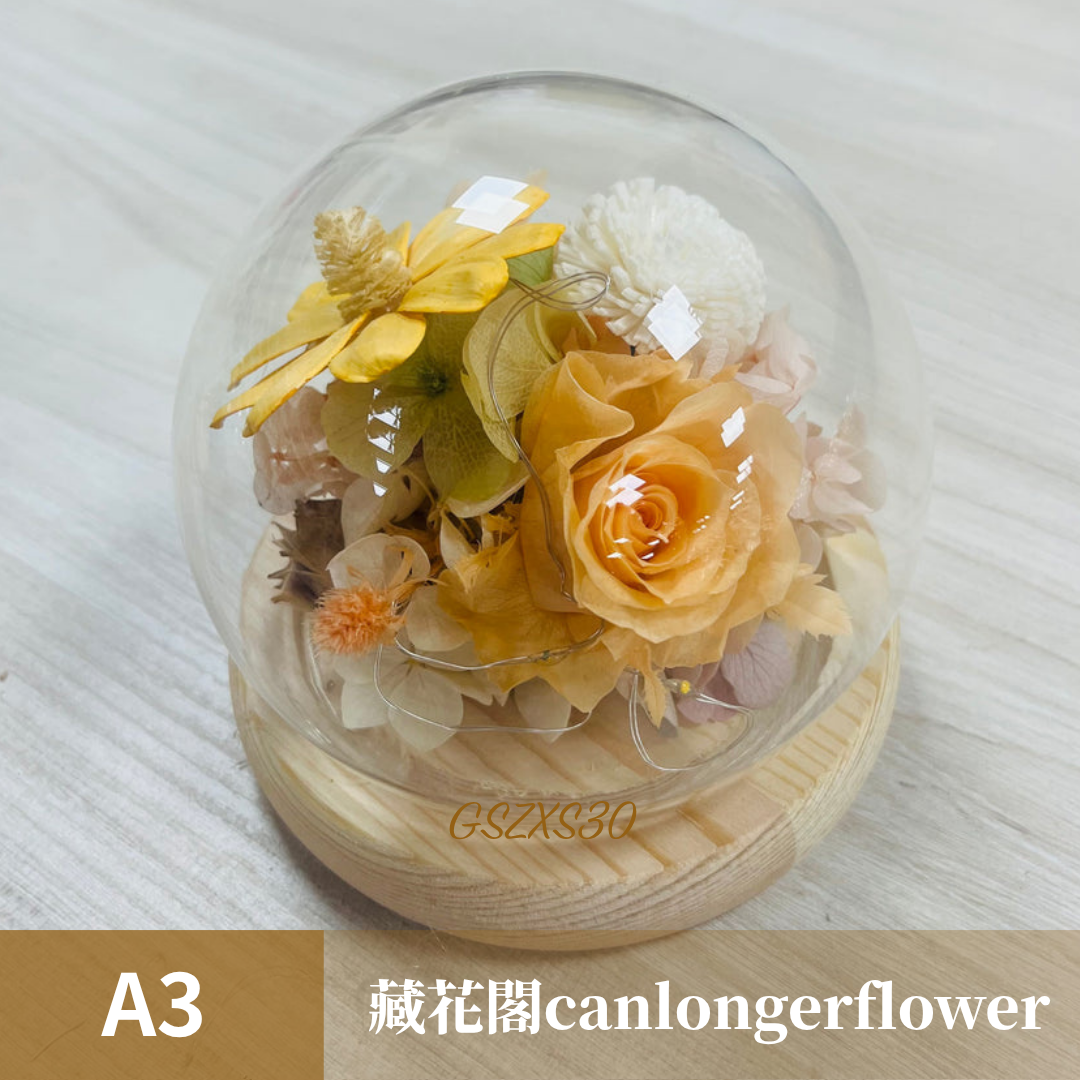 GSZXS30 橘色系永生玫瑰罩盅XS(帶燈)