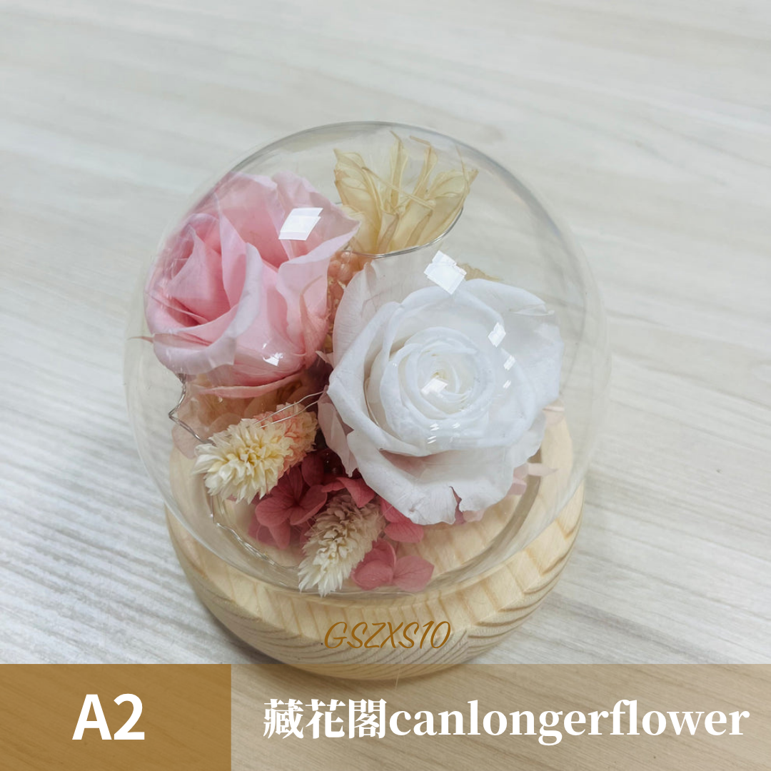 GSZXS10 粉色系永生玫瑰罩盅XS(帶燈)