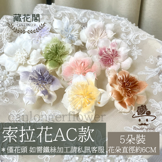 ✿ 台灣現貨 ✿ S-AC 索拉花 6CM 通草花 擴香花 水仙花