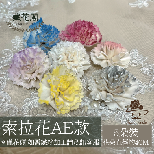 ✿ 台灣現貨 ✿ S-AE 索拉花 4CM 通草花 擴香花 康乃馨 小菊