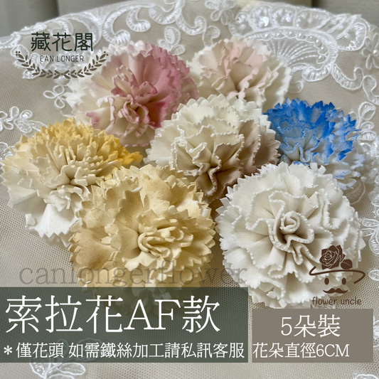 ✿ 台灣現貨 ✿ S-AF 索拉花 6CM 通草花 擴香花 康乃馨 小菊