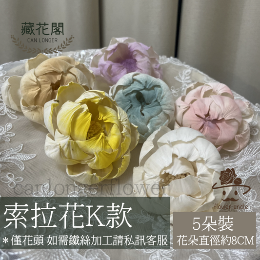 ✿ 台灣現貨 ✿ S-K索拉花 8CM 通草花 擴香花 牡丹 中牡丹