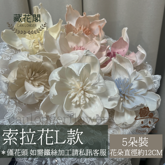 ✿ 台灣現貨 ✿ S-L索拉花 12CM 通草花 擴香花 牡丹 大牡丹
