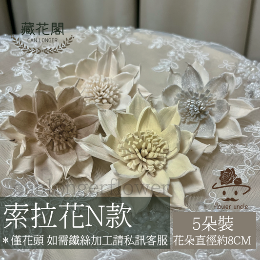 ✿ 台灣現貨 ✿ S-N索拉花 8CM 通草花 擴香花 梔子花