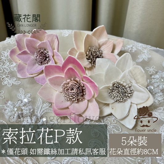 ✿ 台灣現貨 ✿ S-P索拉花 8CM 通草花 擴香花 白睡蓮 蓮花