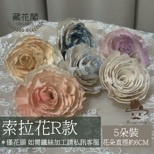 ✿ 台灣現貨 ✿ S-R 索拉花 6CM 通草花 擴香花 波斯 波斯菊 波斯玫瑰