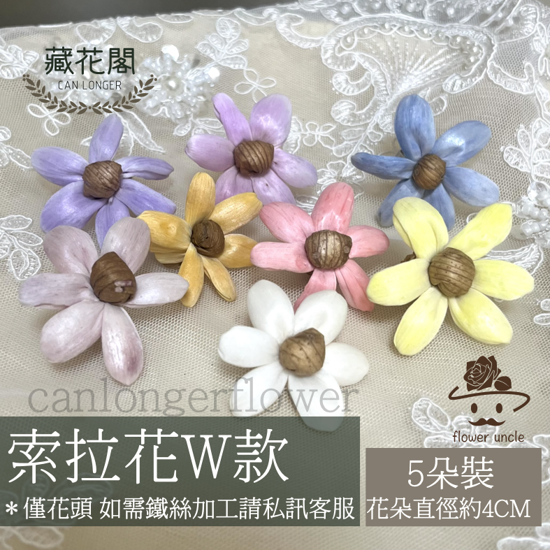 ✿ 台灣現貨 ✿ S-W 索拉花 4CM 通草花 擴香花 小雛菊