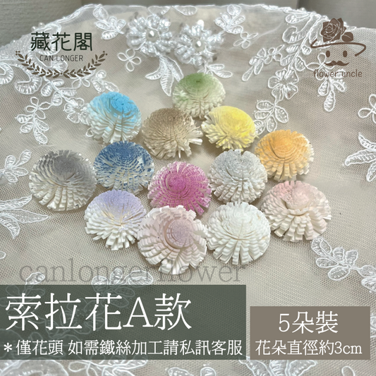 ✿ 台灣現貨 ✿ S-A 索拉花 3CM 通草花 擴香花 3CM 乒乓菊 小菊