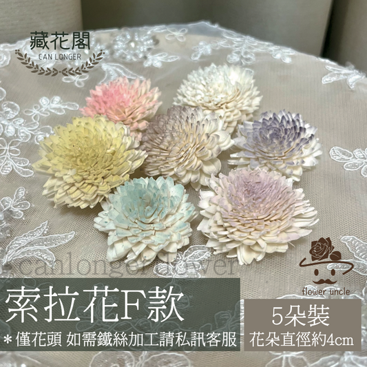 ✿ 台灣現貨 ✿ S-F 索拉花 4CM 通草花 擴香花 國王菊 菊花